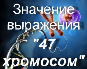 47 хромосома