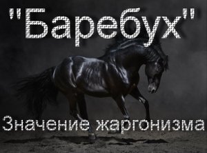 Что Такое Баребух Фото Что Такое Баребух Фото