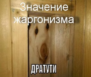 Дратути и Дотвиданиня