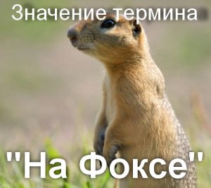 На Фокстроте, на Фоксе