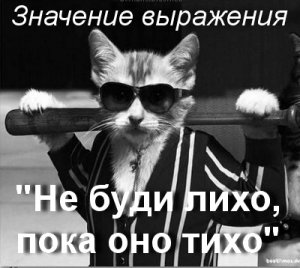 Не буди лихо, пока оно тихо пословицы