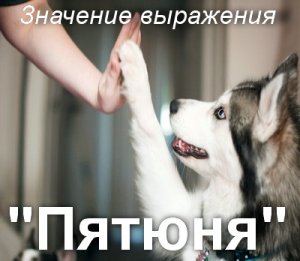 Пятюня