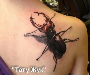Значение татуировок скарабей, жуки